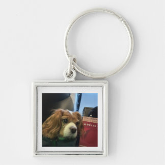 Porte-clés Cavalier King Charles