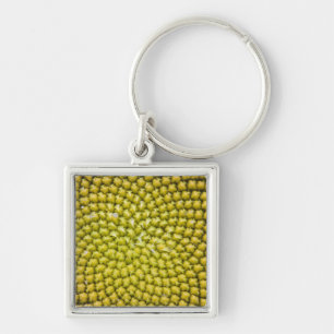 Porte-clés Centre de grand Tournesol (Helianthus annuus)