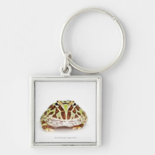Porte-clés Ceratophrys Cranwelli, la grenouille à cornes de