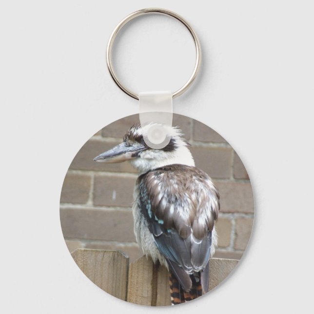 Porte-clés Cercle de clé Kookaburra (Recto)