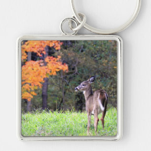 Porte-clés Cerf à queue blanche dans un champ d'automne