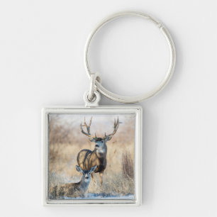 Porte-clés Cerf mulet mâle et femelle