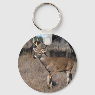 Porte-clés Cerfs communs de queue blanche