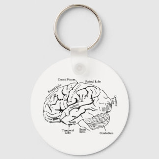 Porte-clés Cerveau humain