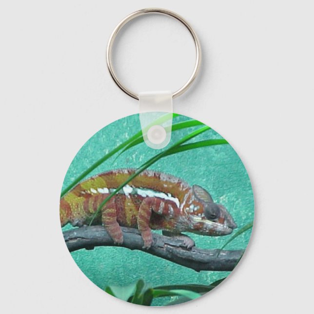 Porte-clés Chameleon (Recto)