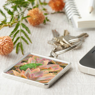 PORTE-CLÉS "CHAMELEON REPOSE SUR UN PLANTE SUCCULENT"