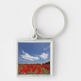 Porte-clés Champ complètement des fleurs rouges