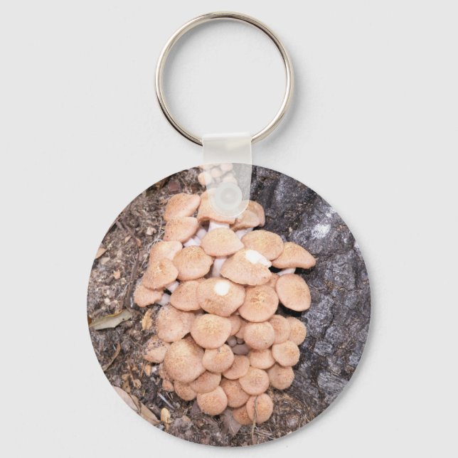 Porte-clés champignons sans anneau (Recto)