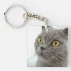 Porte-clés chat
