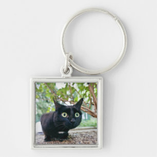 Porte-clés chat alerté se cachant sous le buisson