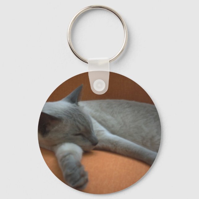 Porte-clés Chat allongé (Recto)