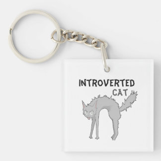 Porte-clés chat introverti drôle | Cadeau pour ami