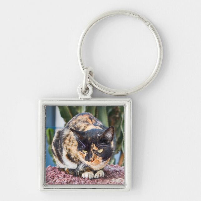 Porte-clés Chat Maspalomas (Devant)