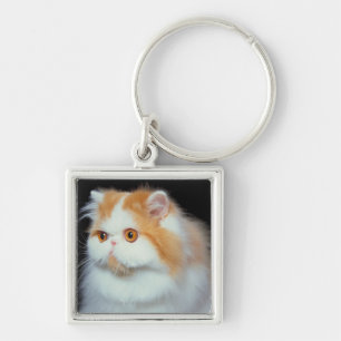 Porte-clés Chat observé et mignon d'orange