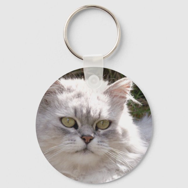 Porte-clés Chat (Ragamuffin) (Recto)