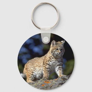 Porte-clés Chat sauvage