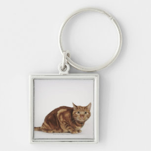 Porte-clés Chat tigré orange