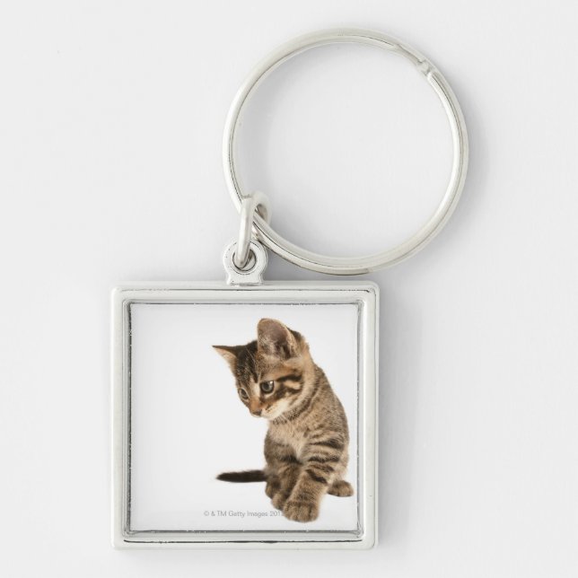Porte-clés Chaton 2 (Devant)