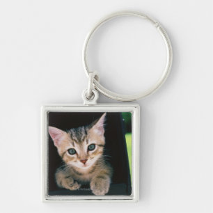 Porte-clés Chaton à l'intérieur de boîte aux lettres
