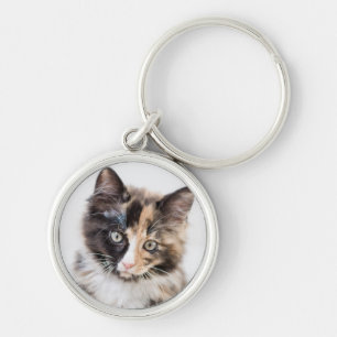 Porte-clés Chaton adorable de calicot