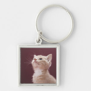 Porte-clés Chaton avec des favoris