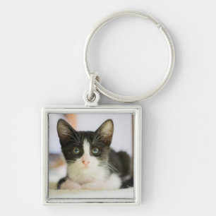 Porte-clés Chaton blanc et noir doux