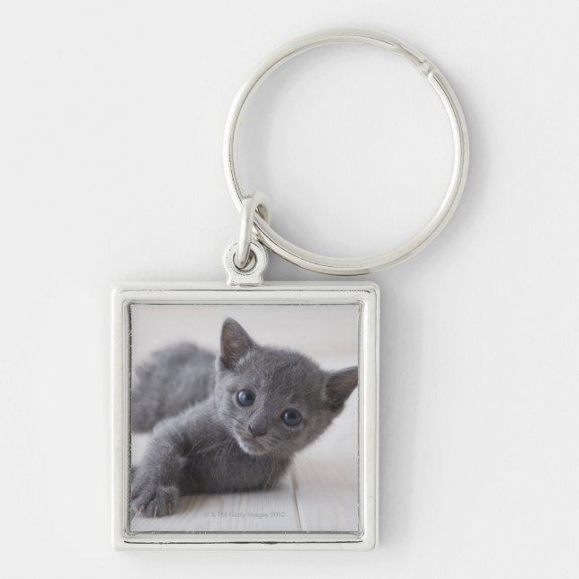 Porte-clés Chaton bleu russe (Devant)