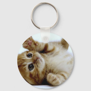 Porte-clés chaton chaton chaton chatte chatte gingembre tabby