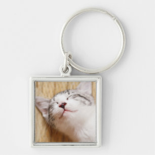 Porte-clés Chaton de sommeil