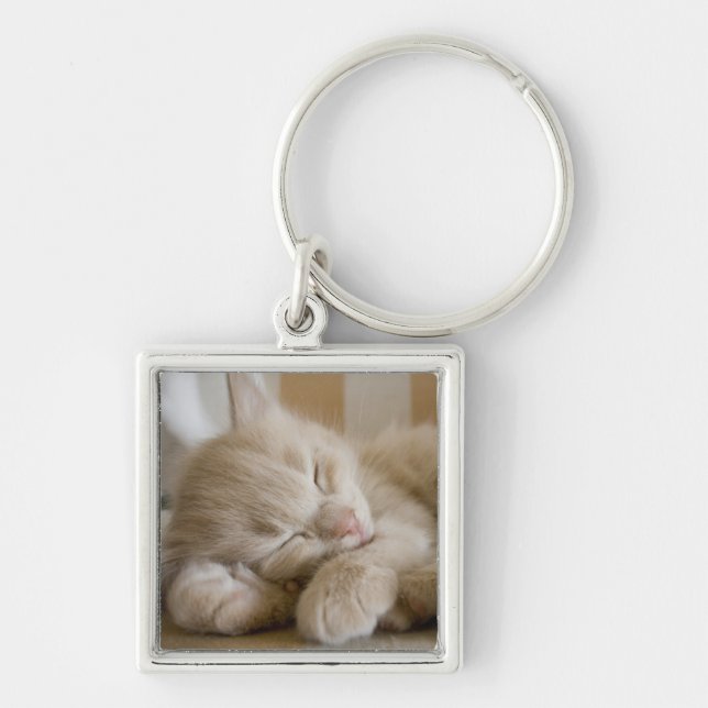 Porte-clés Chaton de sommeil (Devant)