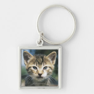 Porte-clés Chaton dehors