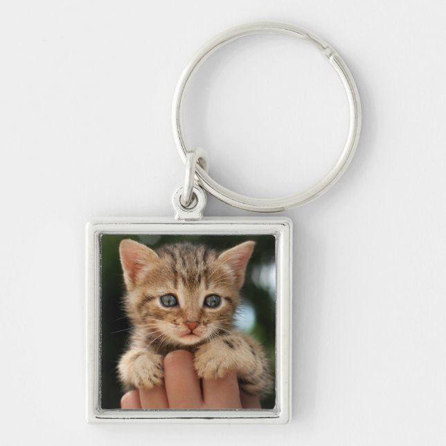 Porte-clés Chaton doux de bébé (Devant)