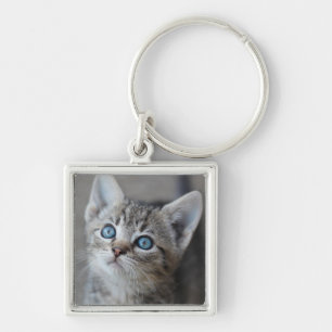 Porte-clés Chaton mignon dans le jardin
