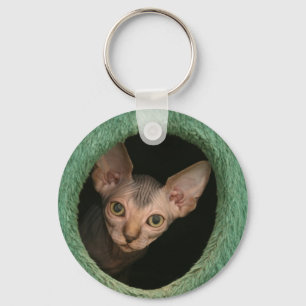 Porte-clés Chaton mignon de sphynx