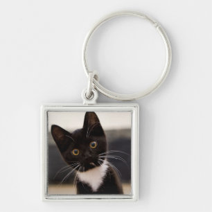 Porte-clés Chaton noir et blanc mignon de smoking