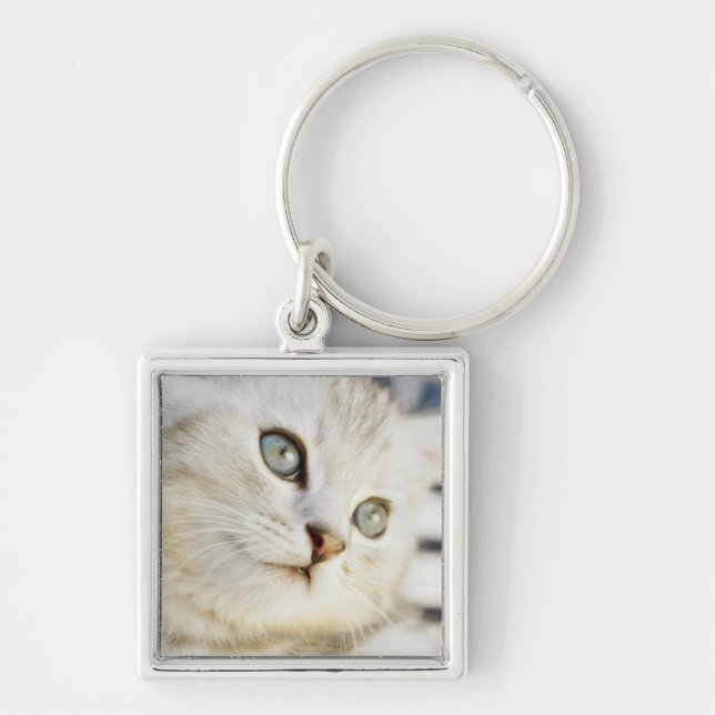Porte-clés Chaton, plan rapproché 2 (Devant)