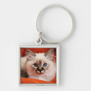 Porte-clés Chaton sacré de Birman