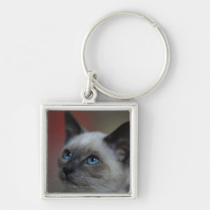 Porte-clés Chaton siamois
