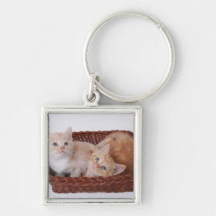Porte-clés Chatons dans le panier