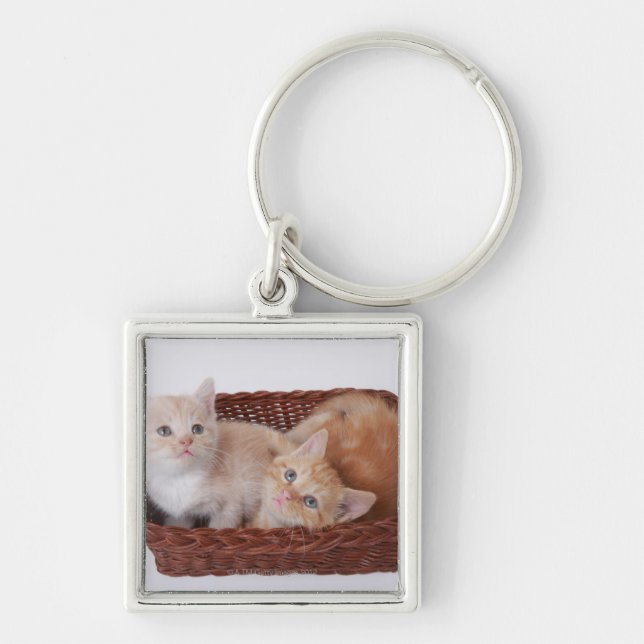 Porte-clés Chatons dans le panier (Devant)