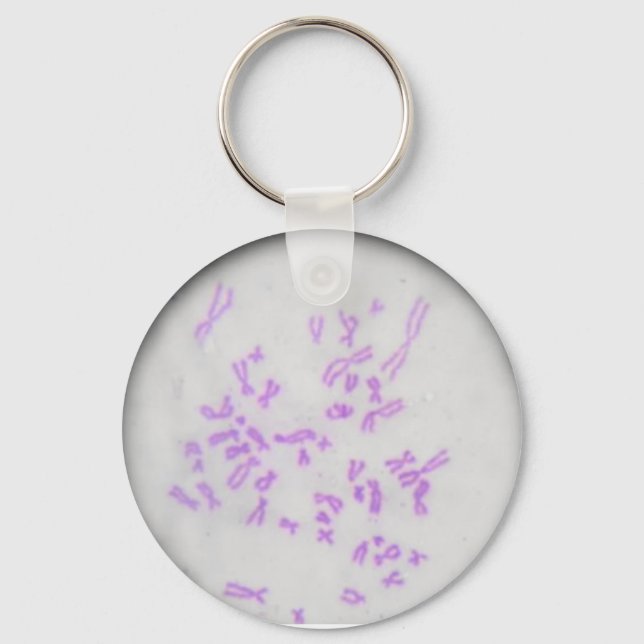 Porte-clés Chaveiro Cromossomos (Recto)