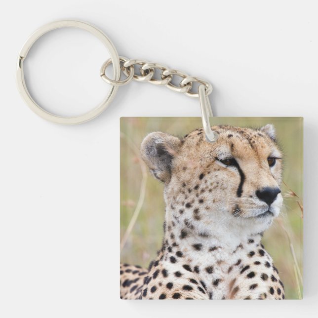 Porte-clés Cheetah (Devant)