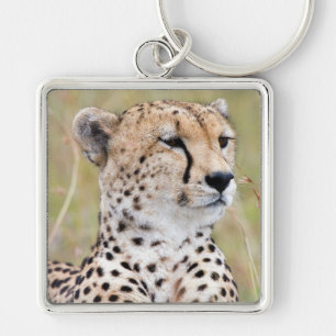 Porte-clés Cheetah