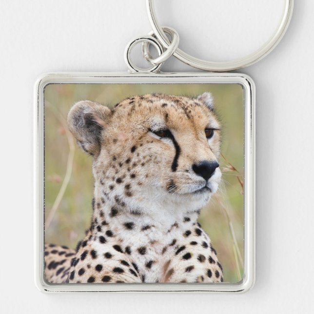 Porte-clés Cheetah (Devant)
