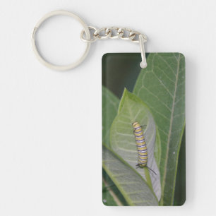 Porte-clés chenille de monarque