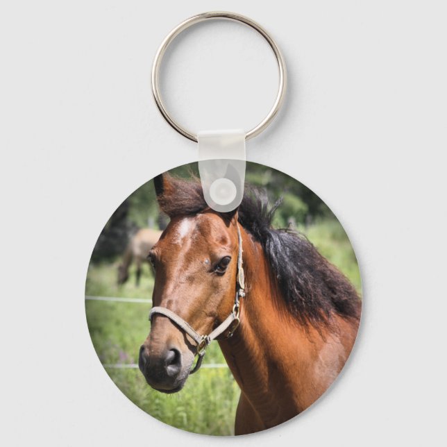 Porte-clés Cheval 8674 (Recto)