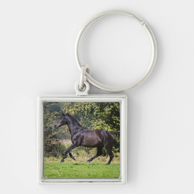 Porte-clés cheval brun fonctionnant sur le pré (Devant)