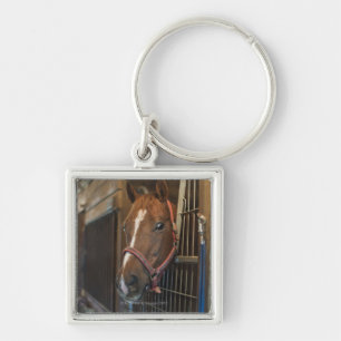 Porte-clés Cheval dans la stalle