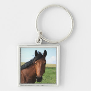 Porte-clés Cheval de la baie dans le pâturage