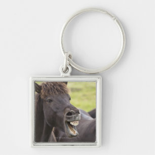 Porte-clés Cheval islandais avec l'expression drôle